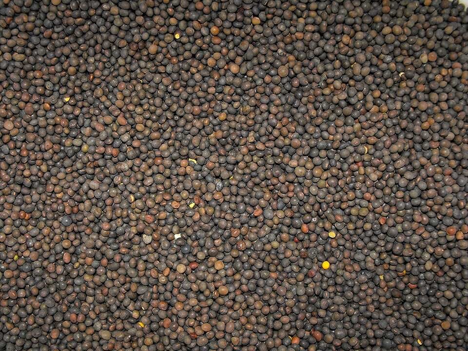Mustard Seeds